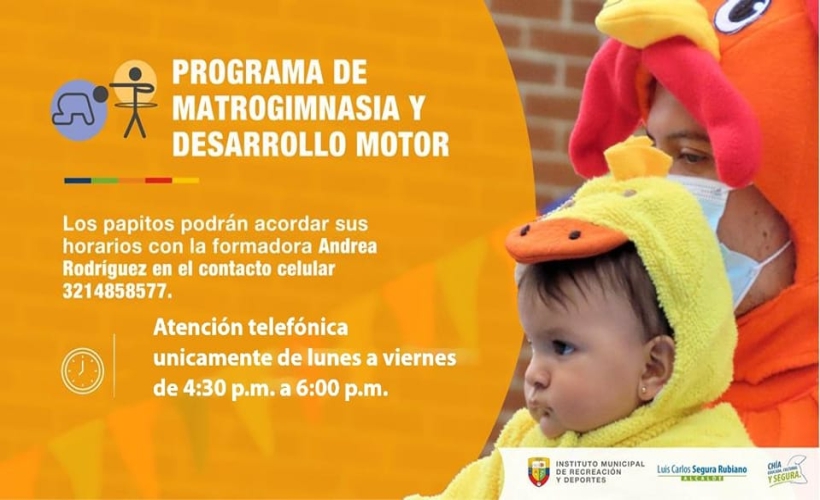 BANNER DESARROLLO MOTOR